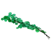 Сухоцвет персикого дерева, 50 г, длина &mdash; 70 см, цвет светло-зелёный