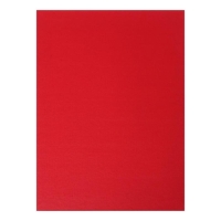 Папка "Личное дело", бумвинил, гребешки/сутаж, без бумаги, красная (вместимость до 300 листов) Папка "Личное дело", бумвинил, гребешки/сутаж, без бумаги, красная (вместимость до 300 листов)