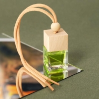 Ароматизатор подвесной в бутылочке, размер XXL &laquo;Хвойный лес&raquo;