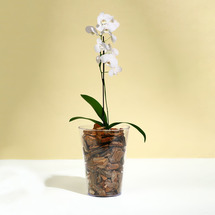 Горшок для орхидей, 1,2 л, 12,5 &times; 16,6 см, пластик, прозрачный