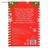 Новый год! Книжка с наклейками &laquo;Письмо Деду Морозу&raquo;, 12 стр.