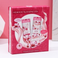 Подарочный набор косметики &laquo;Нежность и красота&raquo;, гель для душа и пена для ванны, 2 х 250 мл, ЧИСТОЕ СЧАСТЬЕ