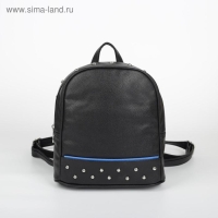 Рюкзак молодёжный, отдел на молнии, цвет чёрный Рюкзак молодёжный, отдел на молнии, цвет чёрный