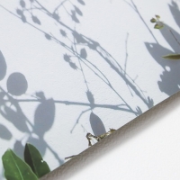 Фотофон двусторонний бумага 300 гр "Изящные растения" 57х87 см Фотофон двусторонний бумага 300 гр "Изящные растения" 57х87 см