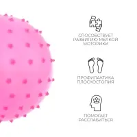 Мяч массажный, d=14 см, 30 г, МИКС