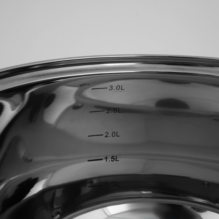 Кастрюля из нержавеющей стали Доляна &laquo;Вернер&raquo;, 3,5 л, d=20 см, с крышкой, индукция