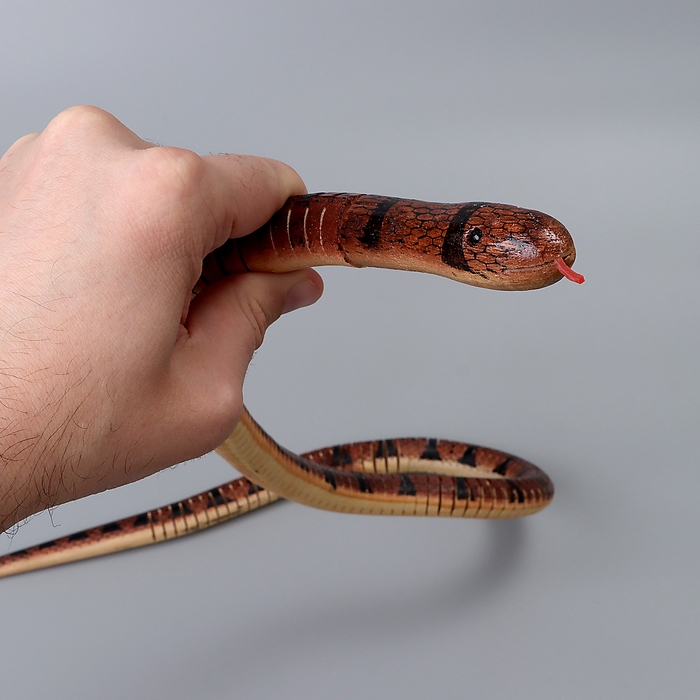 Деревянная игрушка &laquo;Змея&raquo;, 100 &times; 2 &times; 2 см