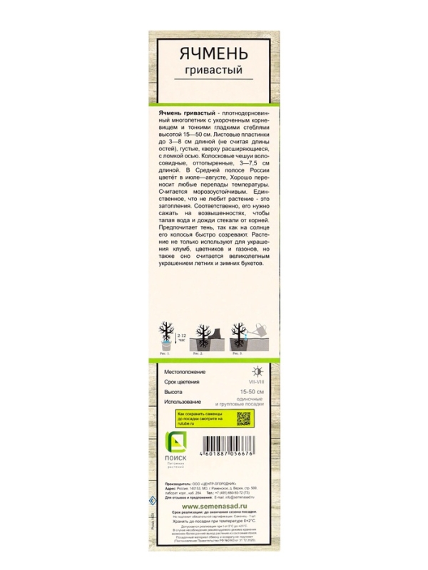 Ячмень гривастый, туба, 1 шт, Весна 2025