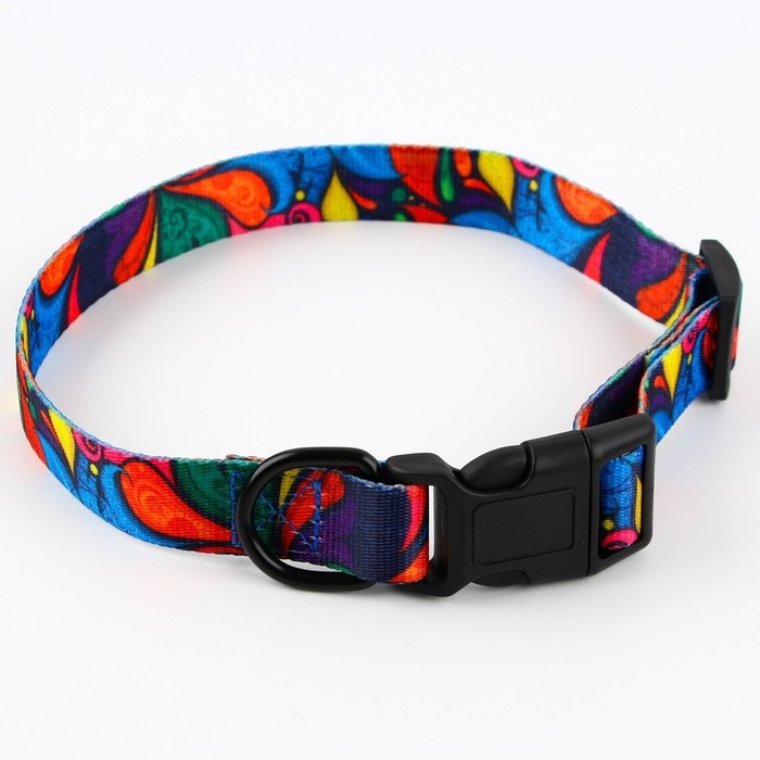 Ошейник &laquo;Невозможно слиться с улицей&raquo;, застёжка - фастекс, 2.5 см, 40-55 см