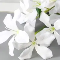 Цветы искусственные "Баухиния пёстрая" d-13 см 71 см, белый
