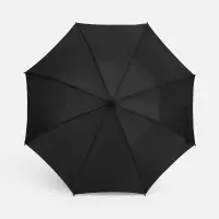 Зонт-трость Hidecolor с цветными спицами, черный с синим