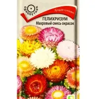Семена цветов Гелихризум "Махровый смесь окрасок" 0,25 г
