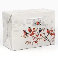 Пакет&mdash;коробка &laquo;Зима в деревне&raquo;, снегири, 28 х 20 х 13 см