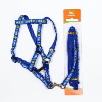 Комплект амуници "Смайлик", ширина 1 см, поводок 120 см, шлейка 26-38 см, синий