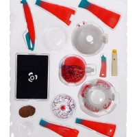 ЭВРИКИ Набор для опытов "Строение глаза", анатомическая модель ЭВРИКИ Набор для опытов "Строение глаза", анатомическая модель