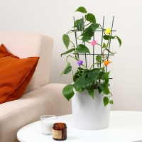 Клипса для растений &laquo;Улитка&raquo;, набор 10 шт., МИКС, Greengo