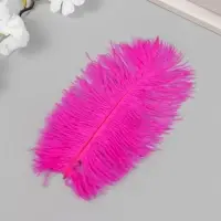 Перо декоративное страуса "Фуксия" h=15-20 см