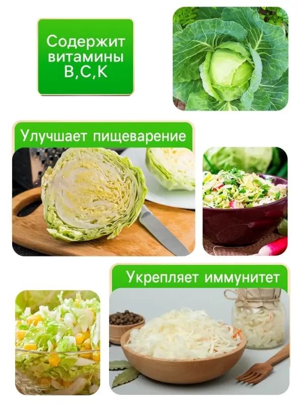 Семена Капуста белокочанной Семена Капуста белокочанной "Вьюга", 0,3 г