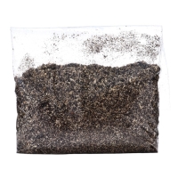 Хоста "Blue Mouse Ears", р-р I, размер S,1 шт, Весна 2025, ЭКОНОМ,