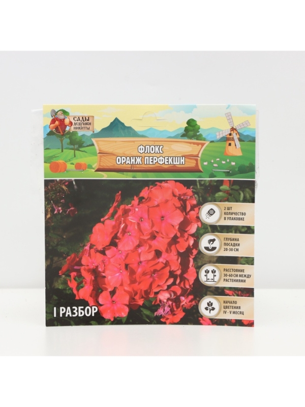 Флокс &laquo;Оранж Перфекшн&raquo; метельчатый, корневище в пакете с торфогрунтом, р-р I, 2 шт.