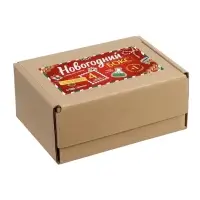 Набор для опытов &laquo;Новогодний бокс&raquo;, 4 набора для опытов, 1 сюрприз