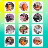 Игрушка-сюрприз &laquo;Питомцы&raquo;, МИКС