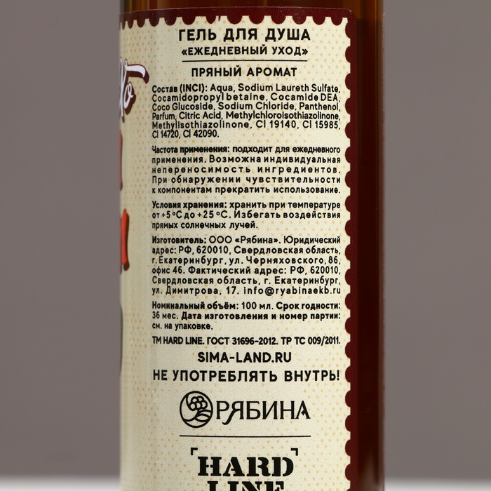 Гель для душа &laquo;С Новым Годом, бро!&raquo;, 100 мл, аромат пряный, ЧИСТОЕ СЧАСТЬЕ