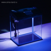 Аквариум SeaStar LS-380F в комплекте: LED-лампа, фильтр, 30 л, голубой Аквариум SeaStar LS-380F в комплекте: LED-лампа, фильтр, 30 л, голубой