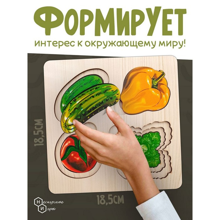 Рамка - вкладыш &laquo;Больше - меньше. Овощи&raquo;, развивающая доска Сегена