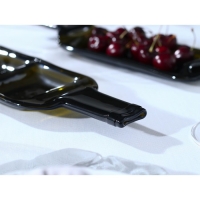 Менажница из бутылки &laquo;Селена&raquo;, 30&times;15&times;2 см, с двумя отделениями