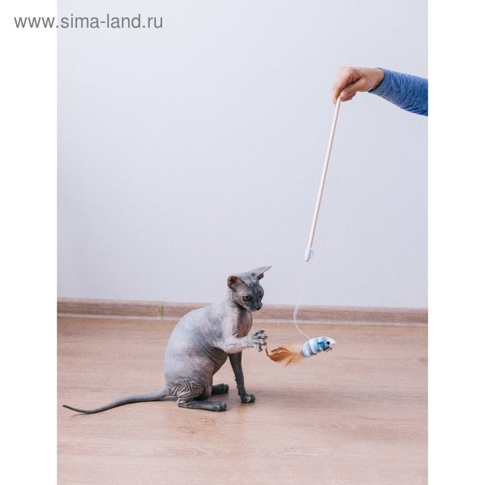 Дразнилка с махровой мышкой (7 см) на деревянной палочке, 40 см, микс цветов