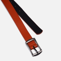 Ремень женский, ширина 2,4 см, пряжка металл, цвет рыжий Ремень женский, ширина 2,4 см, пряжка металл, цвет рыжий