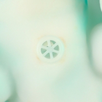 Резиновая игрушка для ванны &laquo;Крокодил&raquo;, 18 см, с пищалкой, Крошка Я