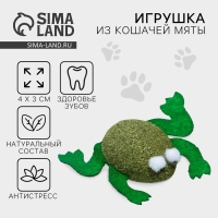 Игрушка для кошек &laquo;Лягушка&raquo; из кошачьей мяты, 4 х 3 см