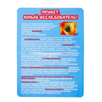 Игровой набор «Эпоха динозавров», 2 артефакта, с эпоксидной смолой Игровой набор «Эпоха динозавров», 2 артефакта, с эпоксидной смолой