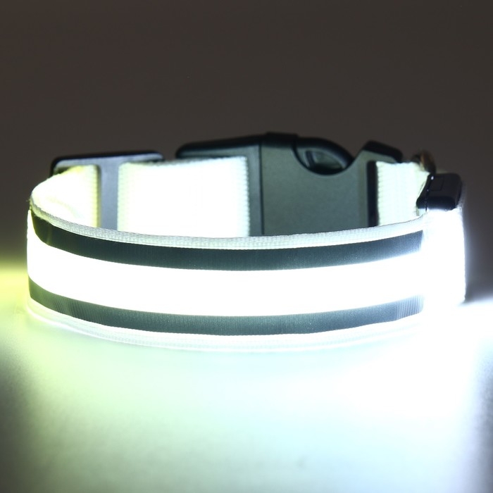 Ошейник с подсветкой Двойная полоса размер S, ОШ 35-43 х 2,5 см, 3 режима свечения белый