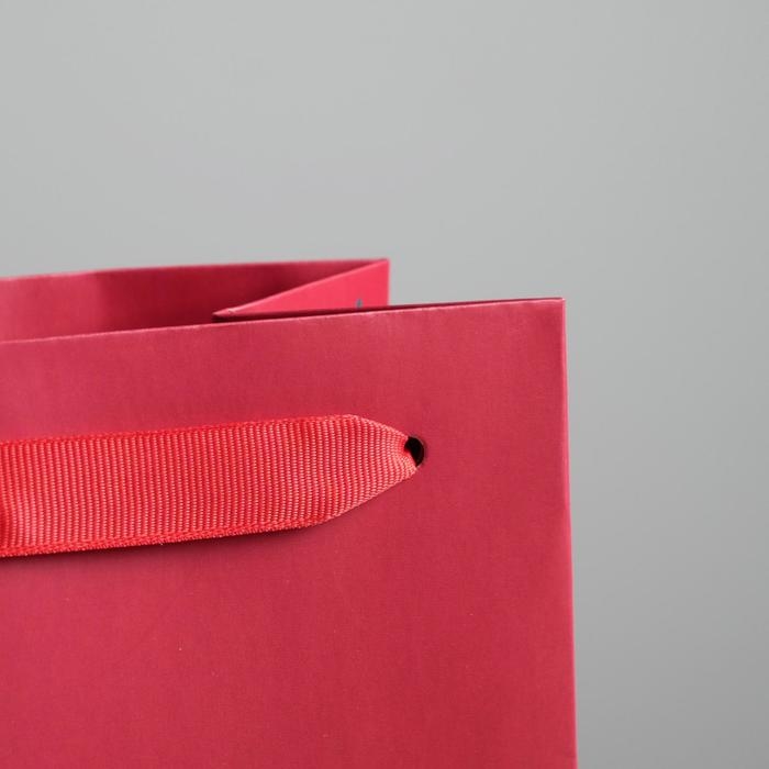 Пакет под бутылку &laquo;Не держи зла&raquo;, 13 х 36 х 10 см, Новый год