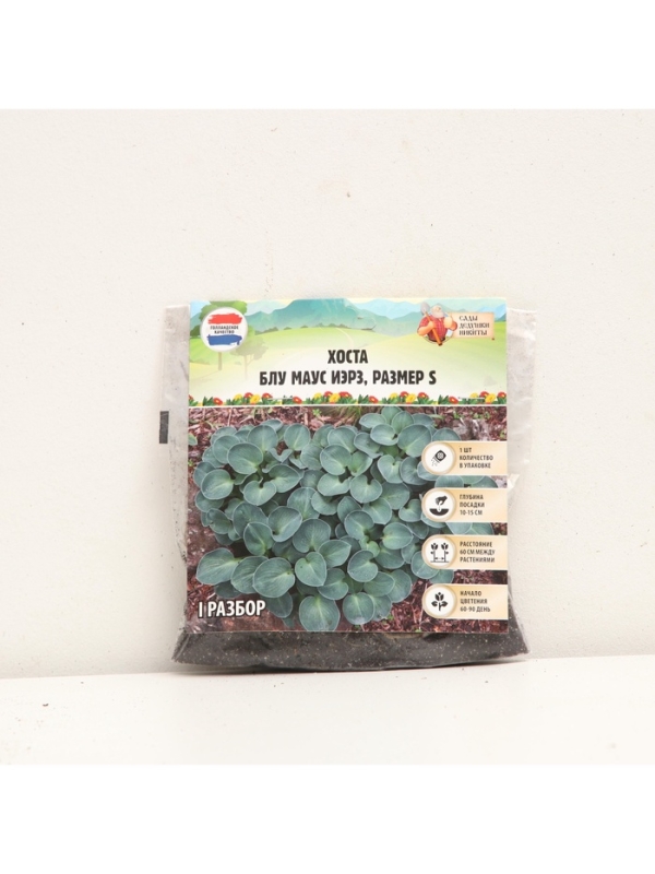 Хоста Blue Mouse Ears, корневище в пакете с торфогрунтом, р-р I, размер S,1 шт.