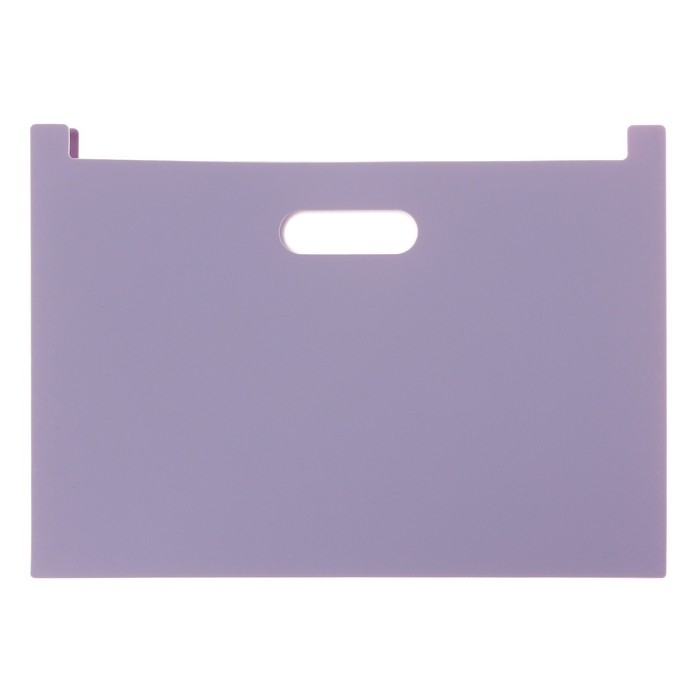 Папка для бумаги А4 пластиковая Calligrata, 12 отделений, фиолетовая