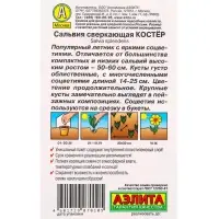 Семена цветов Сальвия Костер , Ц/П,0,1 г