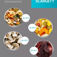 Сушилка для продуктов SC-FD421004