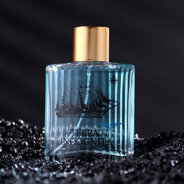 Туалетная вода мужская Terra Incognita Blue Lagoon, 100 мл