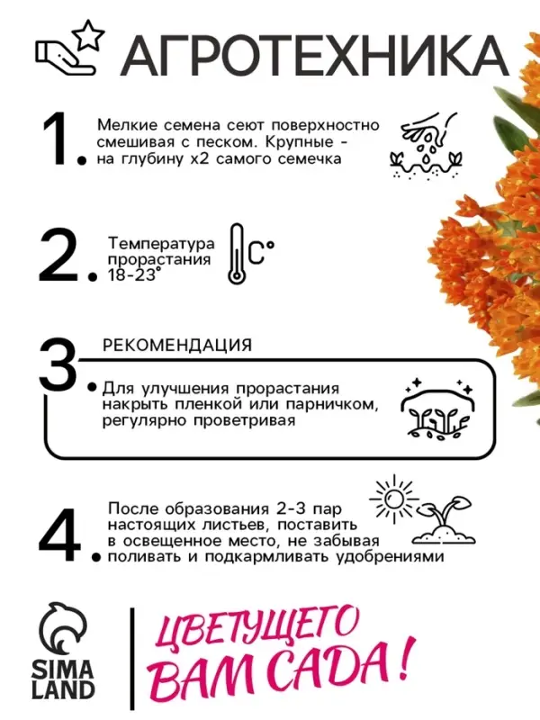 Семена Ваточник "Золотинка", ц/п,  0,03 г