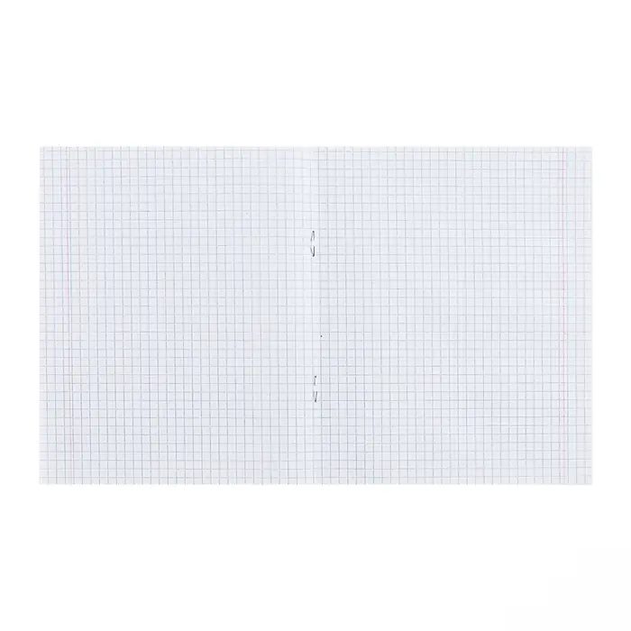 Тетрадь 24 листа клетка &laquo;Зелёная обложка&raquo;, белые листы