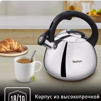 Чайник для плиты Duetto+ N4180110, 2.7 л, стальной