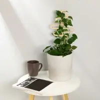 Шпалера, 39 &times; 17 см, дерево, &laquo;Змейка&raquo;, Greengo