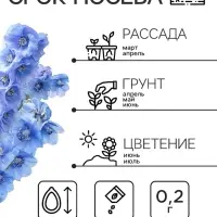 Семена цветов Дельфиниум "Гроздь Сапфиров", 0,2 г
