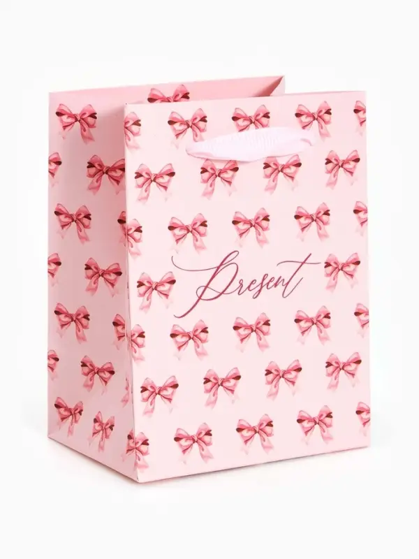 Пакет ламинированный Present, 9 &times; 12 &times; 6,5 см