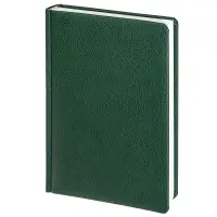 Ежедневник Sagrin, недатированный, зеленый