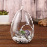 Флорариум "Каплевидная" d отв-5,5 см 9х9х16 см Флорариум "Каплевидная" d отв-5,5 см 9х9х16 см